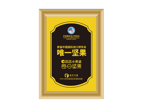 首届中国国际进口博览会唯一尊时凯龙